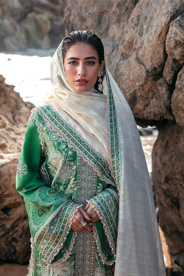 Mohsin Naveed Ranjha Festive Lawn`24 D#17