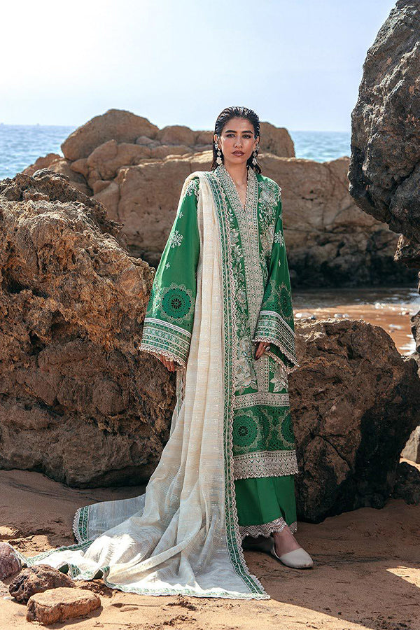 Mohsin Naveed Ranjha Festive Lawn`24 D#17