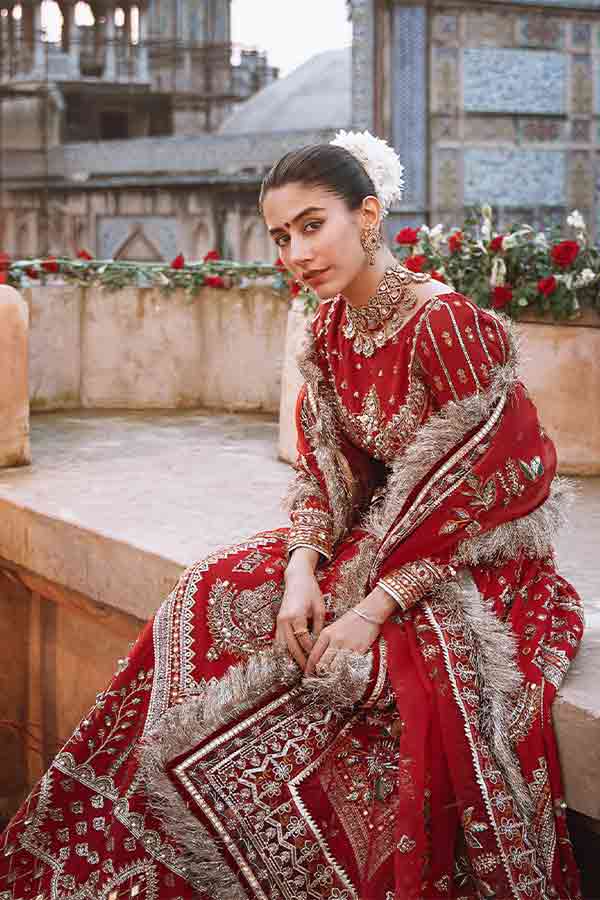 Zarlish By Mohsin Naveed Ranjha`22 D#14 (Sheema Kirmani Bia II)