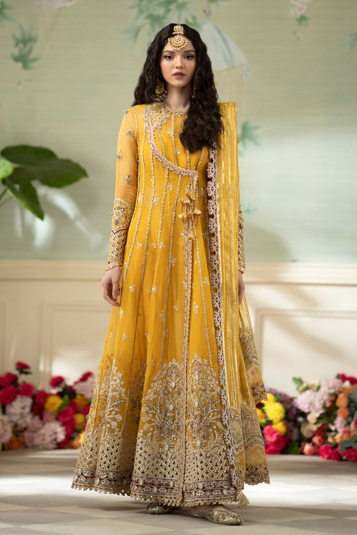 Qalamkar Dilnaaz Wedding Formal'23 DN-04 KANZA