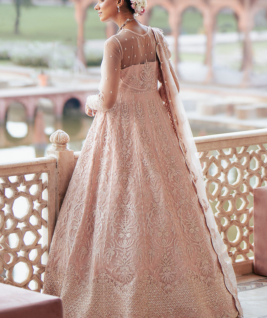 Silsila Festive Organza`24 D#7