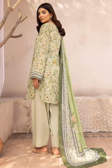 Motifz Rang Digital Lawn`25 D#5505