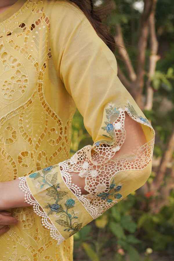 Manara Luxury Lawn'24 D#5