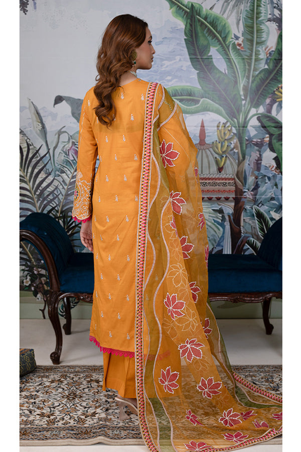 Manizay Rang Noor Lawn`24 D#02