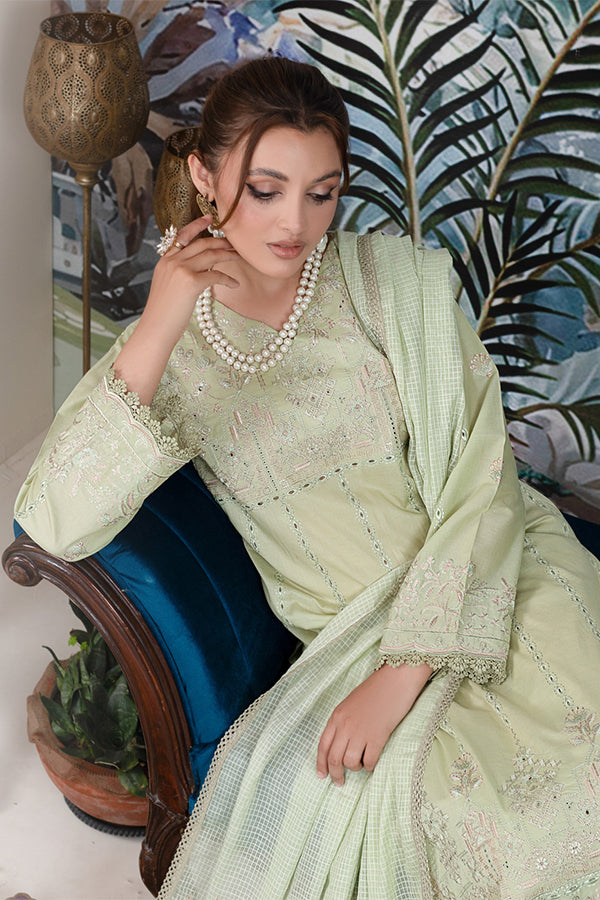 Manizay Rang Noor Lawn`24 D#04