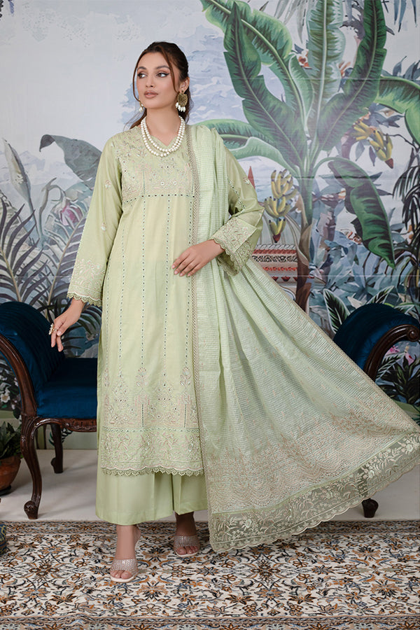 Manizay Rang Noor Lawn`24 D#04