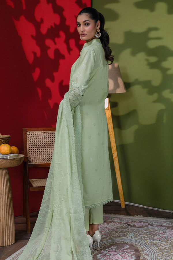 Manizay Dastak C/Kari Lawn'24 D#01