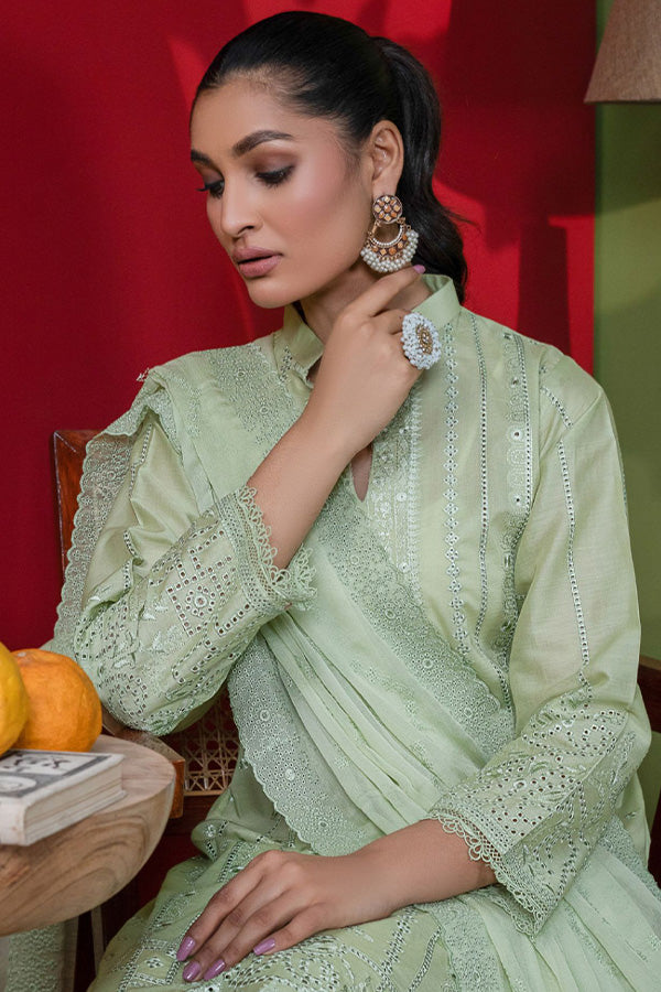 Manizay Dastak C/Kari Lawn'24 D#01