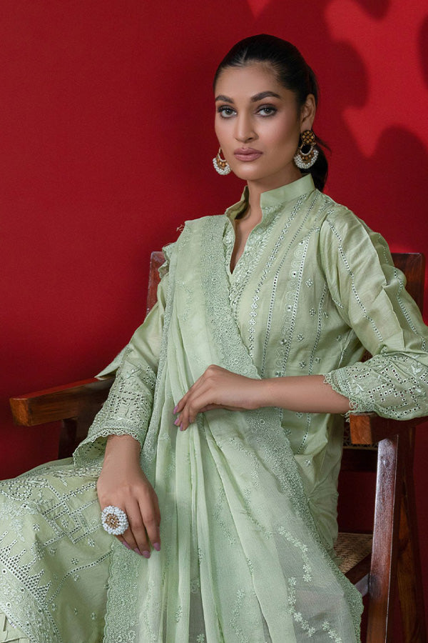 Manizay Dastak C/Kari Lawn'24 D#01