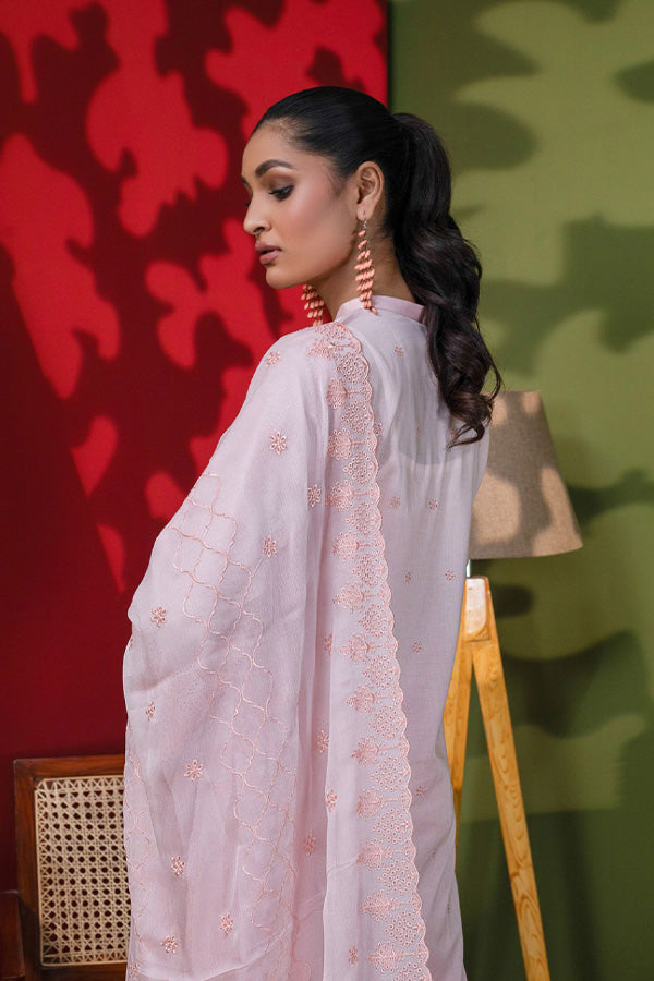 Manizay Dastak C/Kari Lawn'24 D#07
