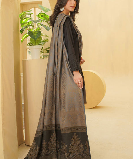 Manizay Kishwar Ka Andaz`25 D#04