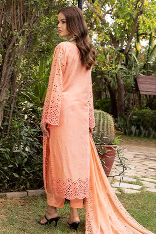 Mi Creation Pastel C/Kari Lawn'25 (Peach Pink)