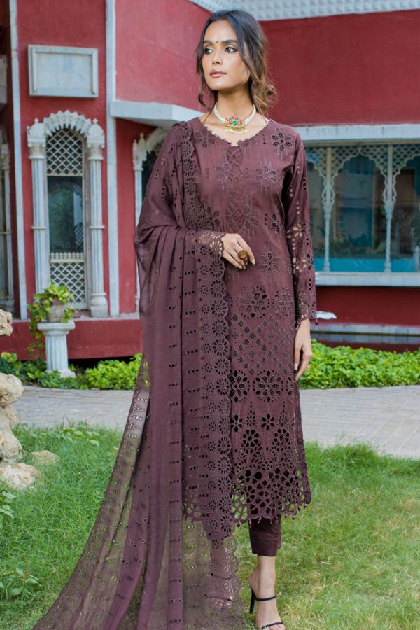 Mi Creation Boring Edition`23 CH Brown – Tradition Stores
