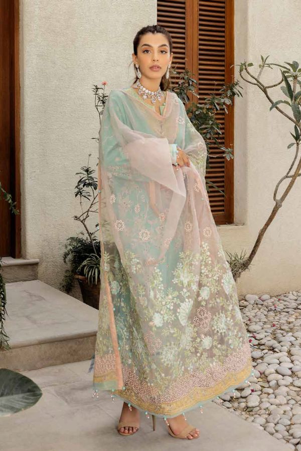 Muscari Emb Lawn'23 MECC#207