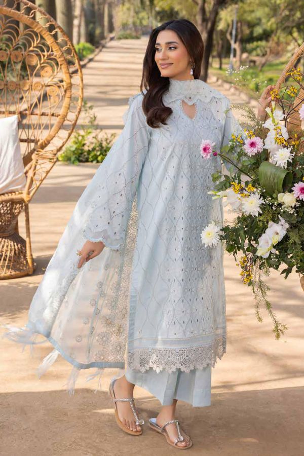 Muscari Luxury C/Kari Lawn`25 MPS#62