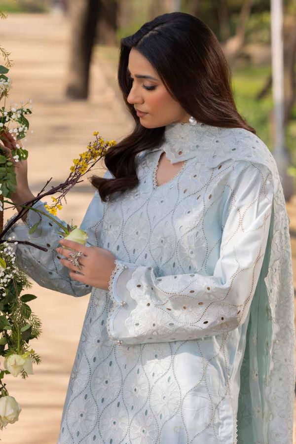 Muscari Luxury C/Kari Lawn`25 MPS#62