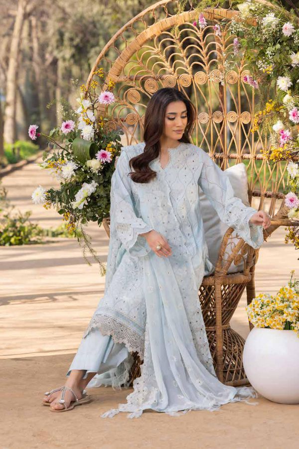 Muscari Luxury C/Kari Lawn`25 MPS#62