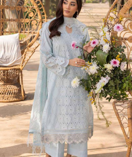 Muscari Luxury C/Kari Lawn`25 MPS#62