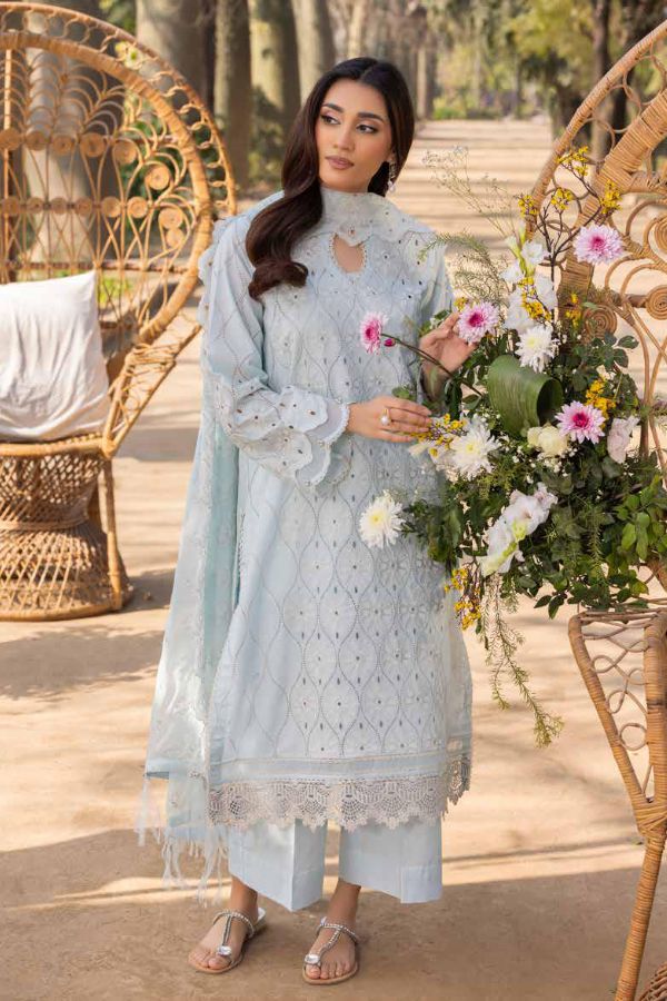 Muscari Luxury C/Kari Lawn`25 MPS#62