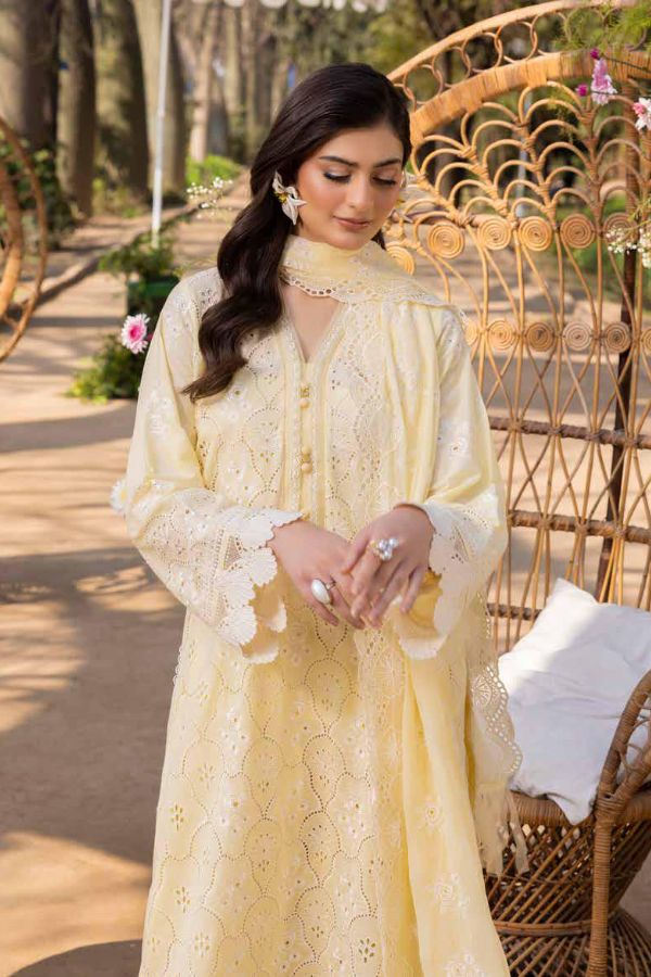 Muscari Luxury C/Kari Lawn`25 MPS#63