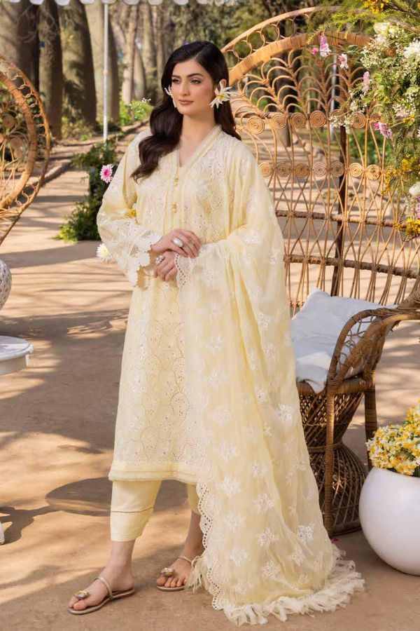 Muscari Luxury C/Kari Lawn`25 MPS#63