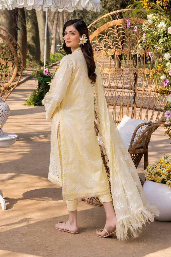 Muscari Luxury C/Kari Lawn`25 MPS#63