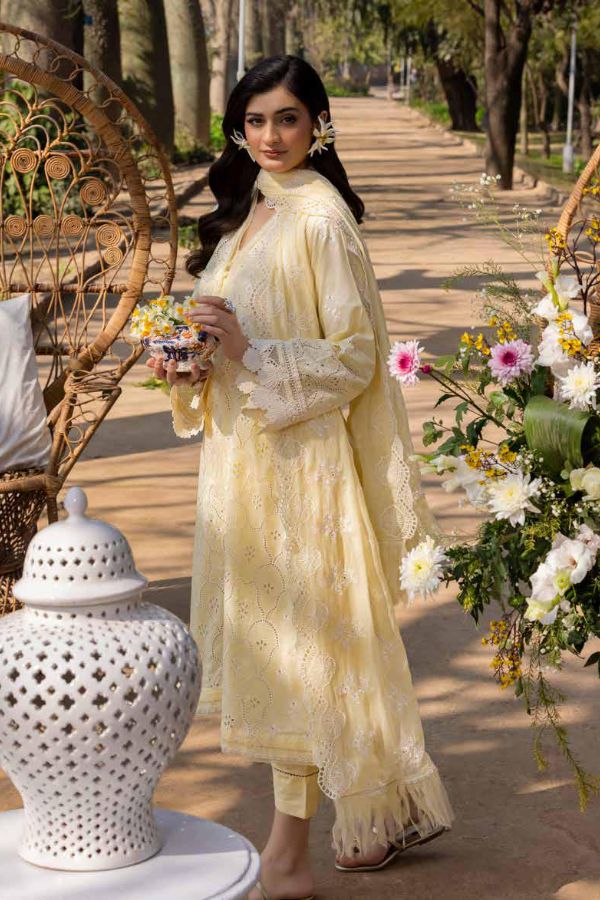 Muscari Luxury C/Kari Lawn`25 MPS#63