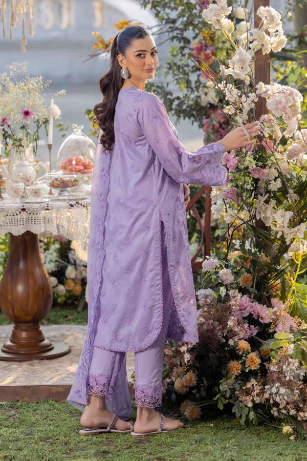 Muscari Luxury C/Kari Lawn`25 MPS#60