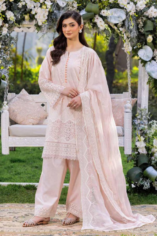 Muscari Luxury C/Kari Lawn`25 MPS#64