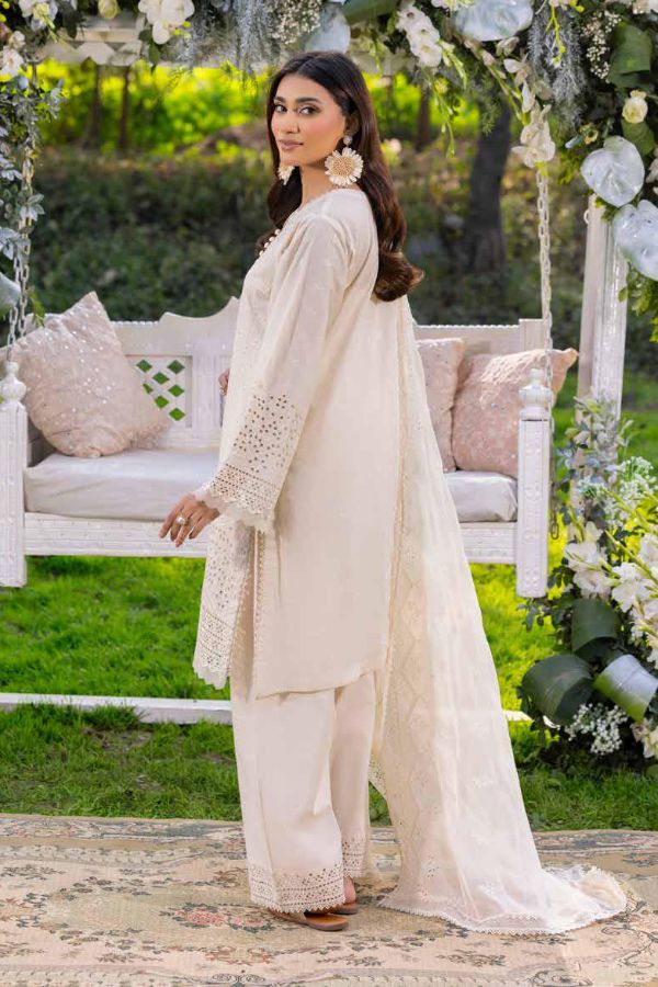 Muscari Luxury C/Kari Lawn`25 MPS#65