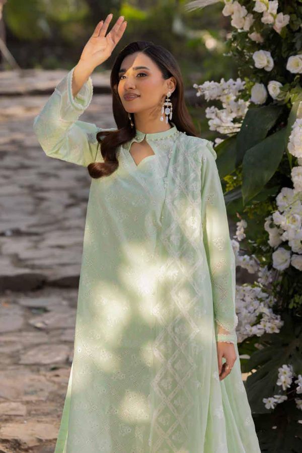 Muscari Luxury C/Kari Lawn`25 MPS#66