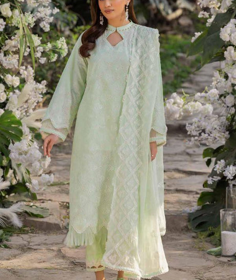 Muscari Luxury C/Kari Lawn`25 MPS#66