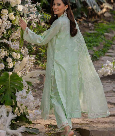 Muscari Luxury C/Kari Lawn`25 MPS#66