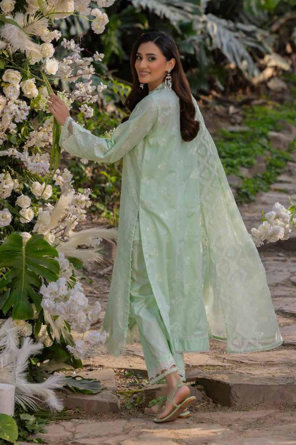 Muscari Luxury C/Kari Lawn`25 MPS#66