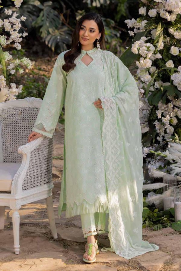 Muscari Luxury C/Kari Lawn`25 MPS#66