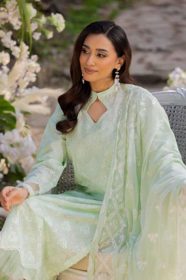 Muscari Luxury C/Kari Lawn`25 MPS#66