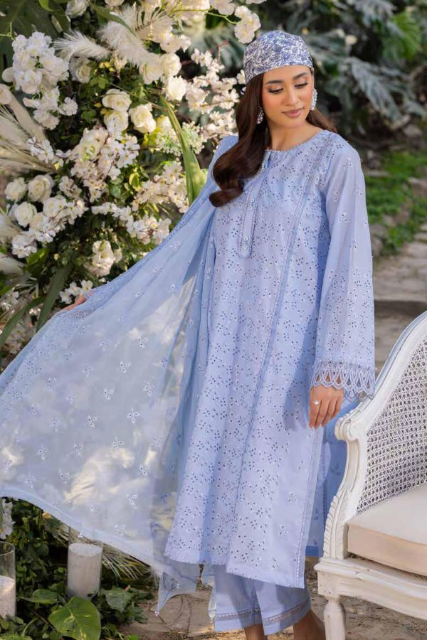 Muscari Luxury C/Kari Lawn`25 MPS#67