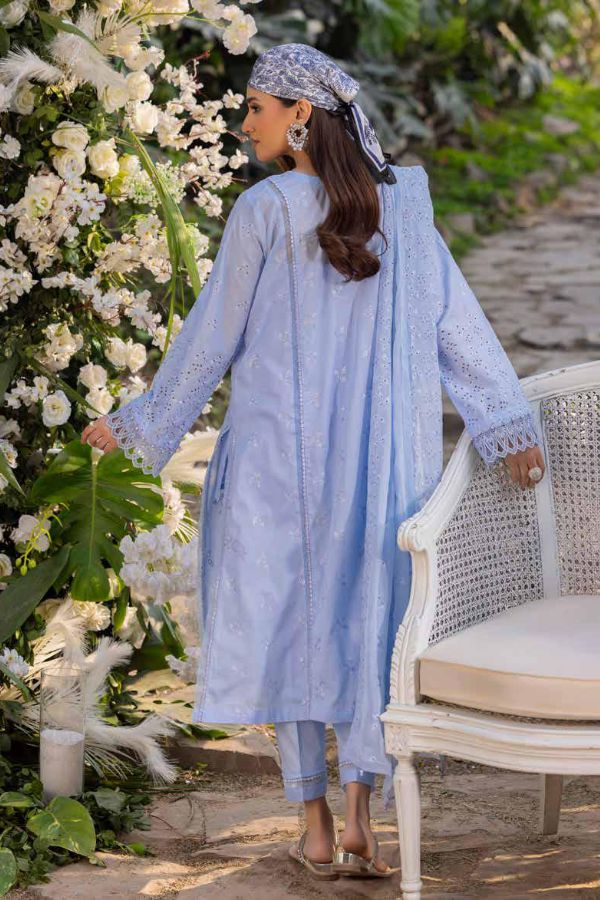 Muscari Luxury C/Kari Lawn`25 MPS#67