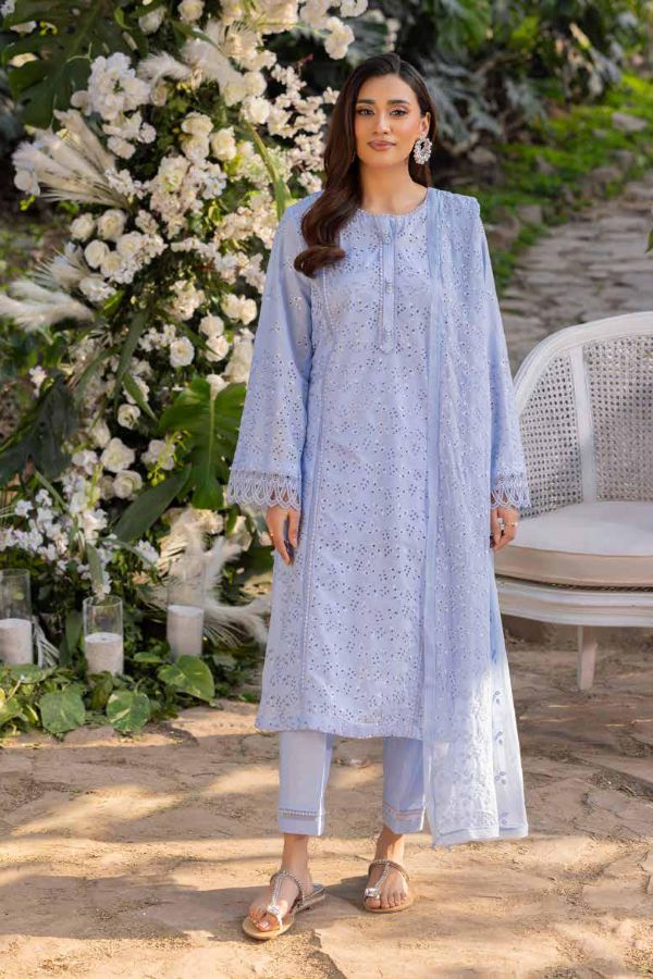 Muscari Luxury C/Kari Lawn`25 MPS#67