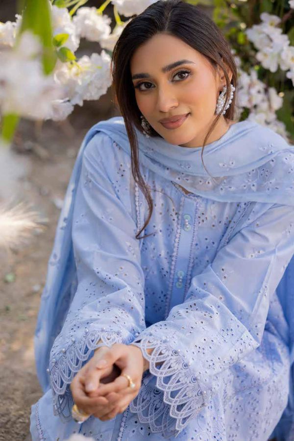 Muscari Luxury C/Kari Lawn`25 MPS#67