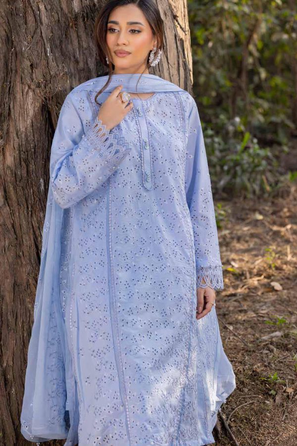 Muscari Luxury C/Kari Lawn`25 MPS#67