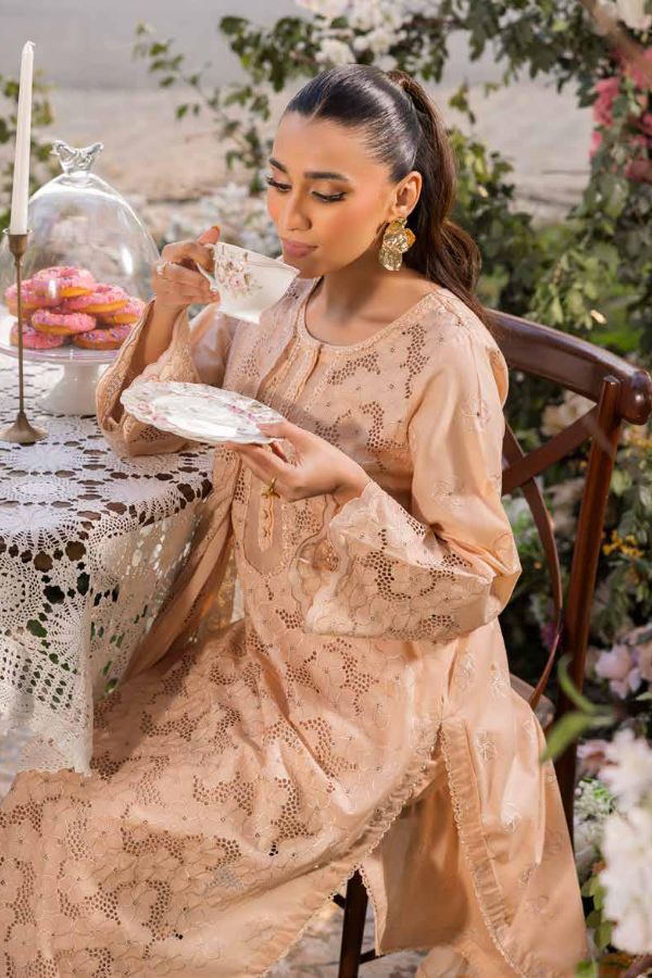 Muscari Luxury C/Kari Lawn`25 MPS#61