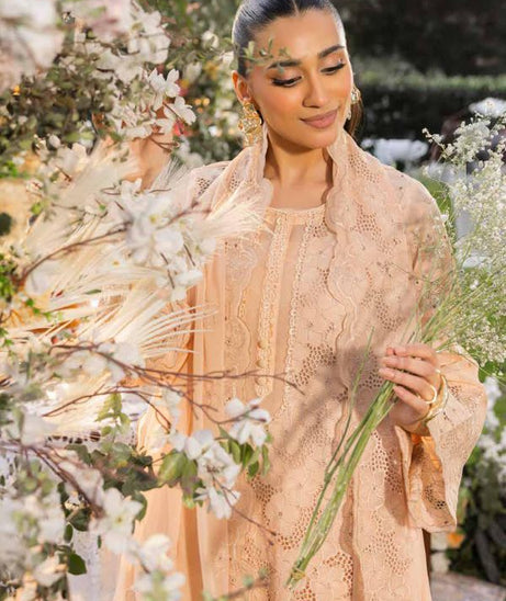 Muscari Luxury C/Kari Lawn`25 MPS#61