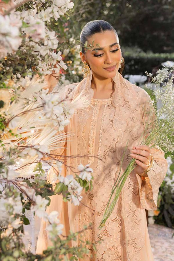 Muscari Luxury C/Kari Lawn`25 MPS#61