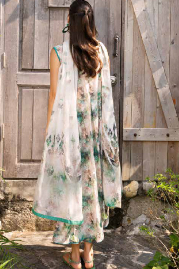 Muscari Premium Lawn'26 D#447