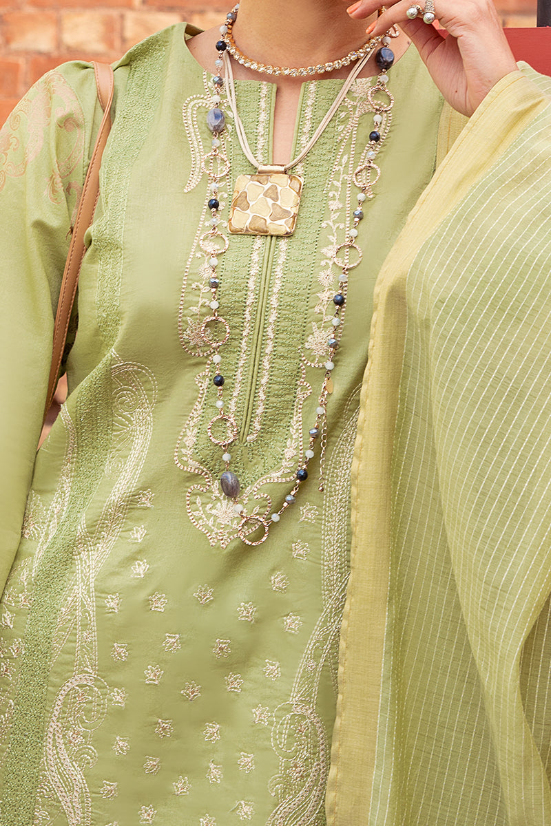 Rang Rasiya Emb Series`22 D#08