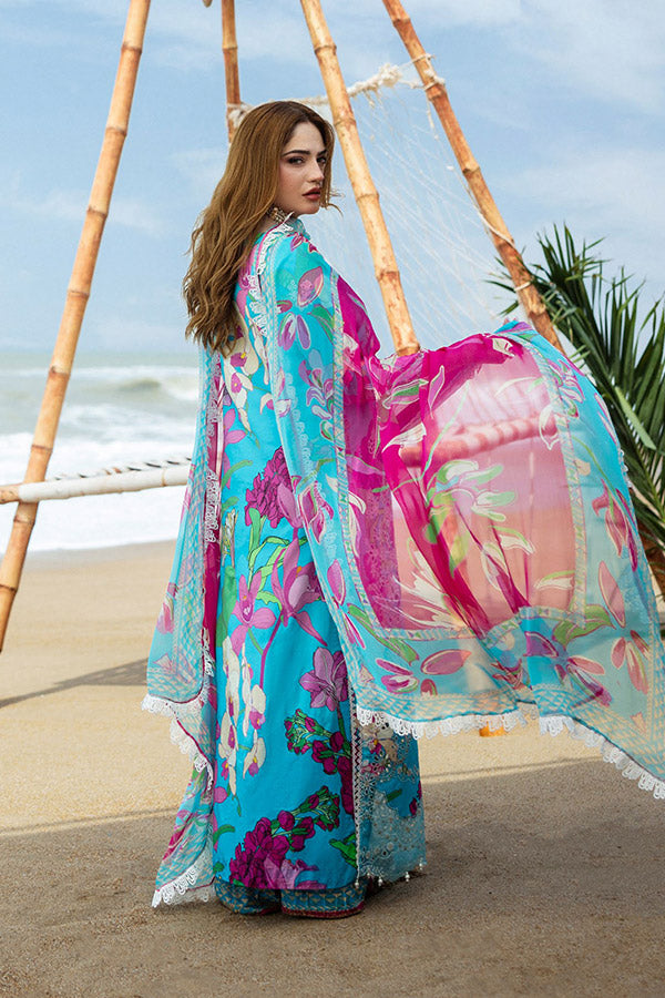 Naqsh O-Opulence Winter`25 D#166