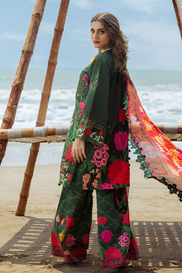 Naqsh O-Opulence Winter`25 D#167