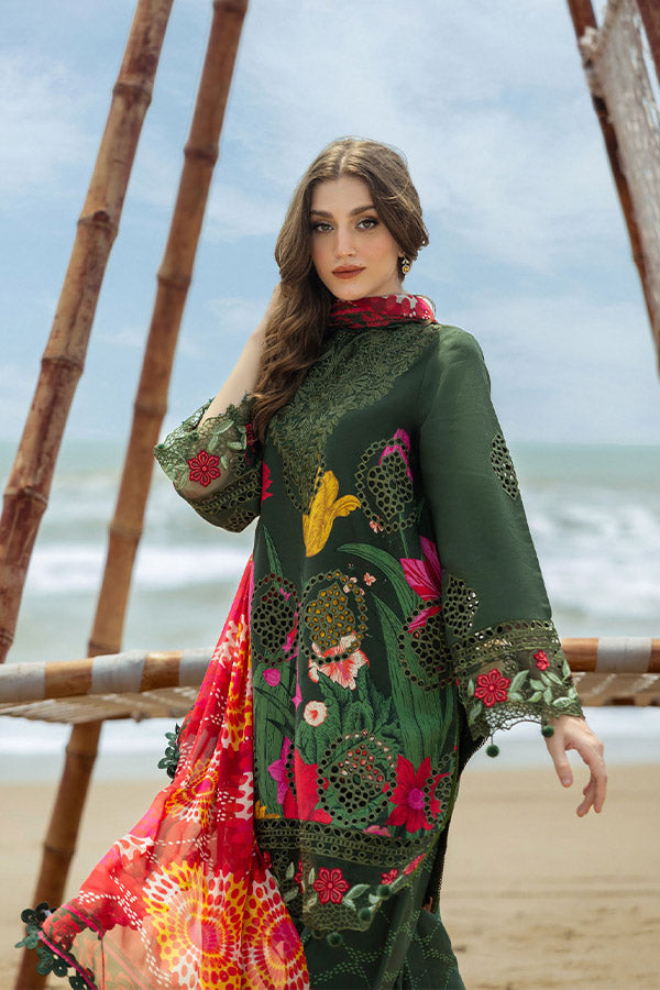 Naqsh O-Opulence Winter`25 D#167