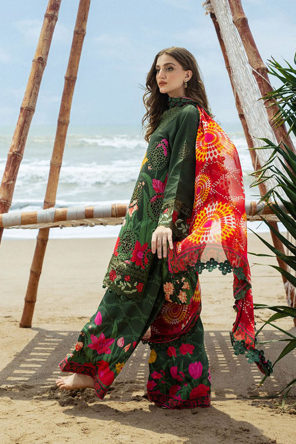 Naqsh O-Opulence Winter`25 D#167